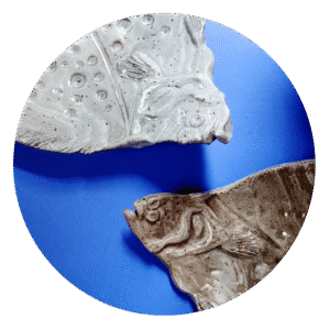 ceramic plates fish